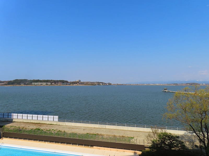 客室からの眺望