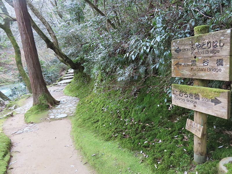 鶴仙渓遊歩道